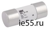 Плавкая вставка цилиндрическая ПВЦ 22х58 gG 16А IEK